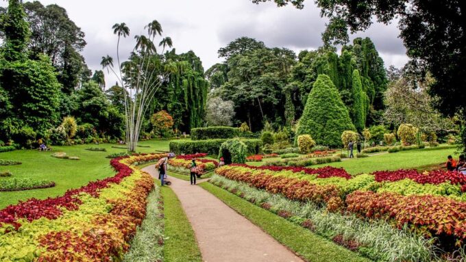 Day Tour To Kandy From Colombo - Day 4: Udawalawa Wildlife Safari