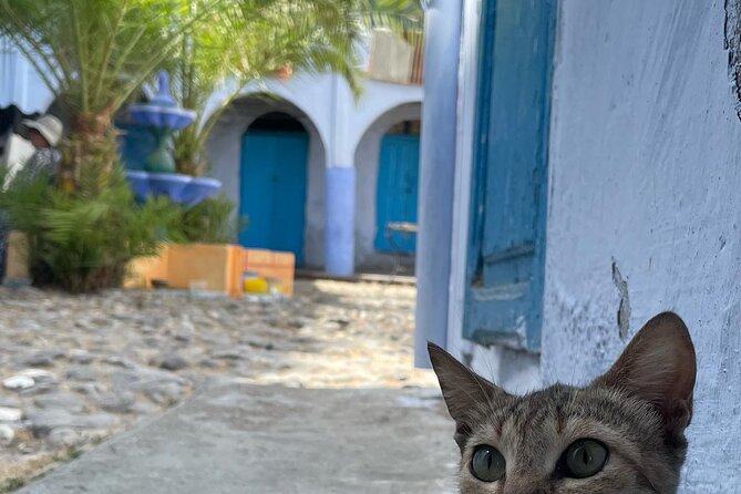 Day Trip From Tarifa to Tangier - Additional Tour Details