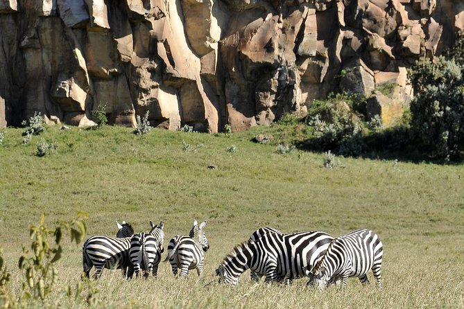 Day Trip To Crescent Island And Hells Gate National Park - What to Expect on Your Trip