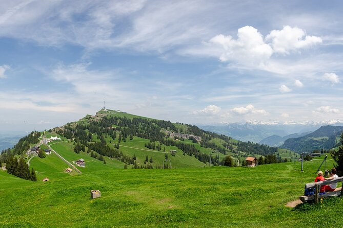 Day Trip to Lucerne and Mt. Rigi With a Local From Zurich - Traveler Reviews and Insights