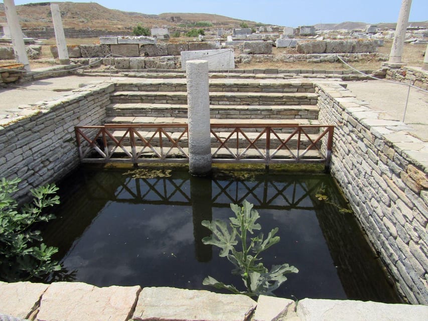 Delos: Only Audio-Guided Tour of the Arheological Site - Cancellation Policy