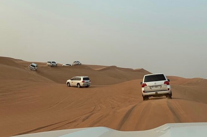 Deluxe Red Sand Desert Safari - Accessibility Features