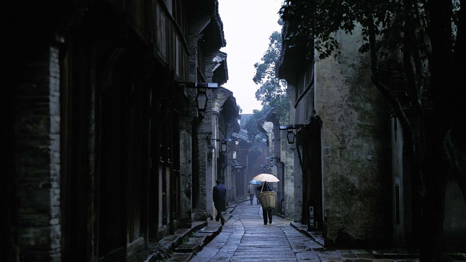 Delve Into Wuzhen Water Town: Private Tour From Shanghai - Culinary Delights