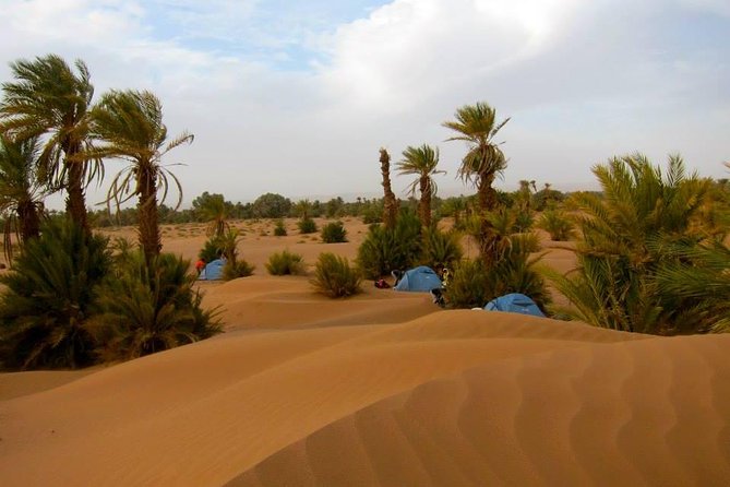 Desert Odyssey: a 2-Day Journey From Marrakech to Zagora - Tips for Your Trip
