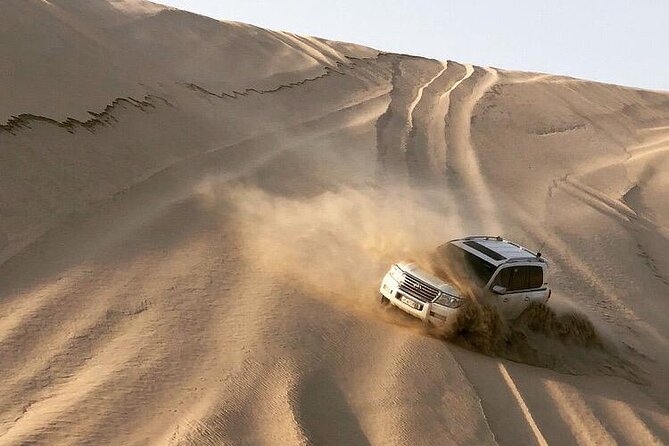 Desert Safari and Inland Sea(Private Tour) - Customer Reviews and Feedback