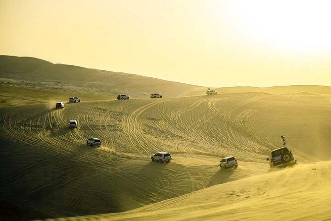 Desert Safari Inland Sea Private Tour - Tour Inclusions and Exclusions