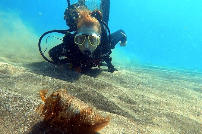 Discover PADI Scuba Diving in the Area of Tortugas in Playa De Abades - Dive Location and Conditions