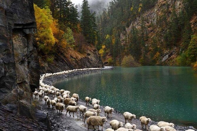 Discover the Highland Majesty: 4-Day Tusheti Trekking Escape - Cultural Immersion in Tusheti