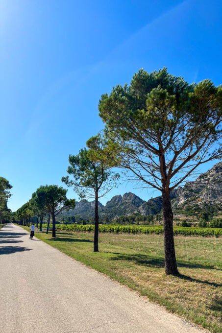 Discover the Massif Des Alpilles by Bike - Guided Exploration of Provence