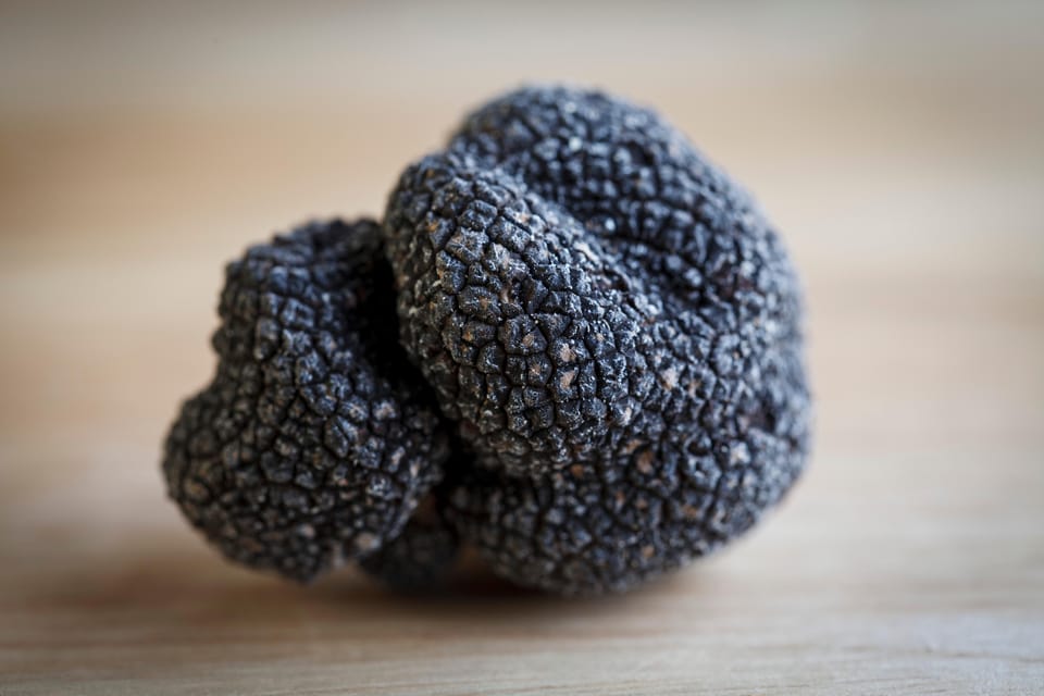 Discover Truffles From the Farm to the Fork - Discovering Truffles