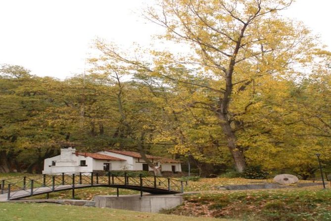 Discover Villavicencio Natural Reserve: Half-Day Adventure - What to Expect