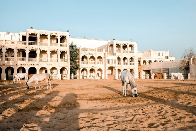 Discovering Doha Qatar | Guided City Tour | Half Day - Frequently Asked Questions