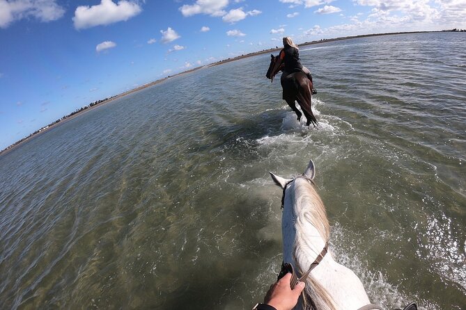 Discovery Ride on Horseback or Camel 2h30 - Booking and Confirmation Process