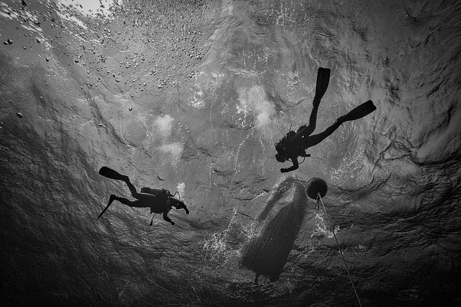 Diving Baptism With Cylinders (Introdive) at the Capo Carbonara Marine Protected Area - Reviews and Rating