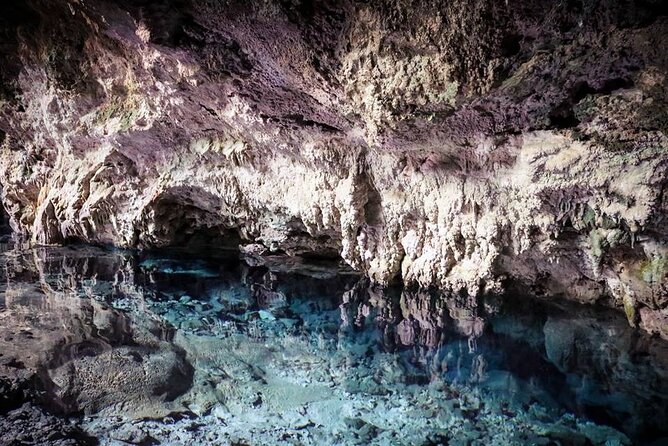Dolphin Tour, Jozani Forest, Jambiani Kuza Cave, Paje Beach &The Rock Restaurent - Guest Reviews and Feedback