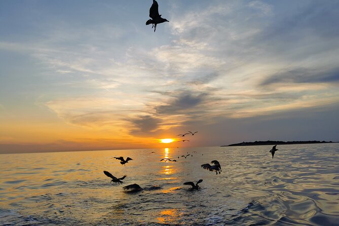 Dolphin Watching Sunset Boat Trip in Pula With Dinner - Price Guarantee and Payment Options