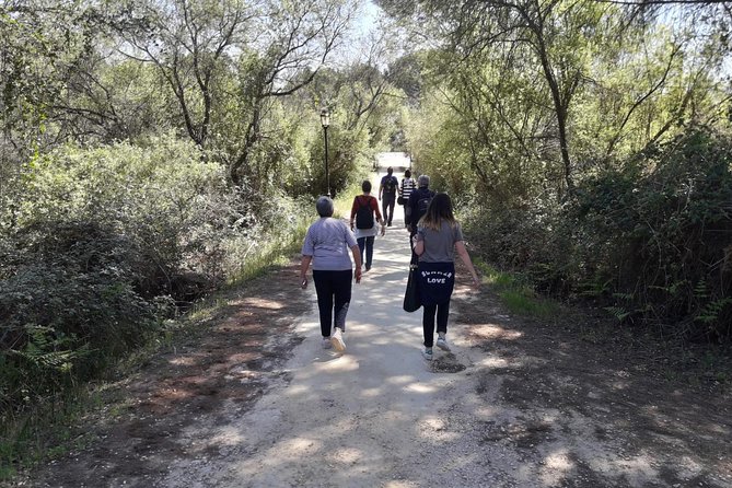 Doñana National Park in 4x4 and El Rocío - Exploring Doñana National Park