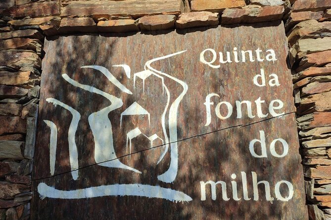 Douro Valley Amazing Wine Tours - Unique Perspective on Portuguese Winemaking