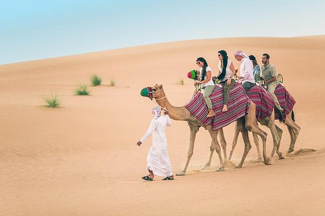 Dubai Desert Red Dune Half-Day Safari Adventure and BBQ Dinner - Unique Desert Features
