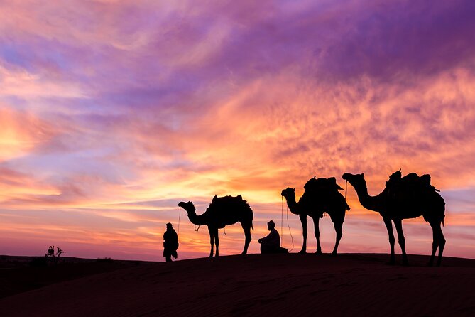 Dubai Desert Safari Dune Bashing, Camel Ride, Sand Boarding, BBQ Dinner. - Important Safari Details