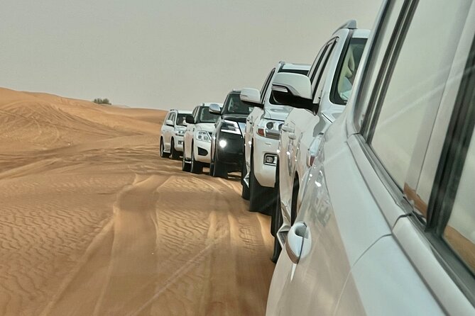 Dubai Desert Safari With Camel Ride, Sand Surf, & BBQ Dinner - Booking Information