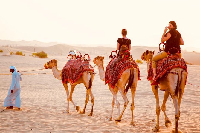 Dubai Red Dunes Desert Safari, With BBQ, Camel Ride, Sand Boarding And Much More - Important Booking Details