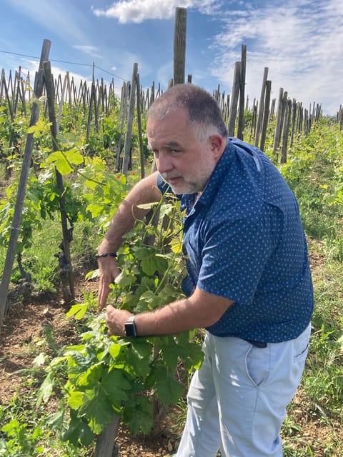 DUO PARENTS CHILDREN WINE CÔTE-RÔTIE TOUR VISIT - Meeting Point and Accessibility