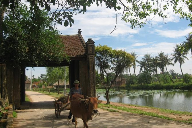 Duong Lam Ancient Village Private Tour - Cancellation Policy and Rates