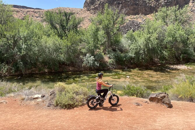 E-Bike Rental - Guided Tour Option