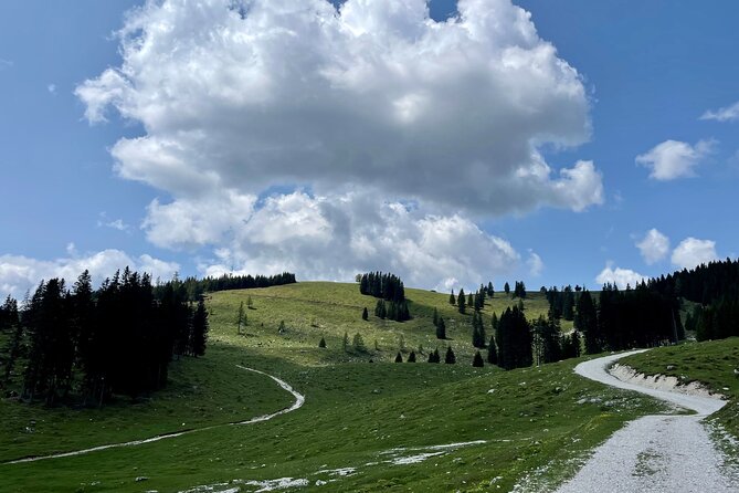 E-Bike Tour Tržič - Biking Through Tržič