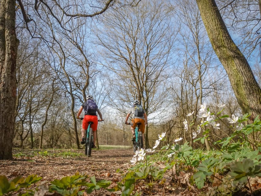 E-Mountain Bike Adventure in the Danube Bend - Included Services and Amenities