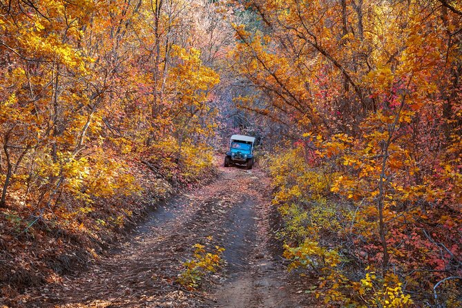 East Zion Brushy Cove Jeep Tour - Booking Your Adventure