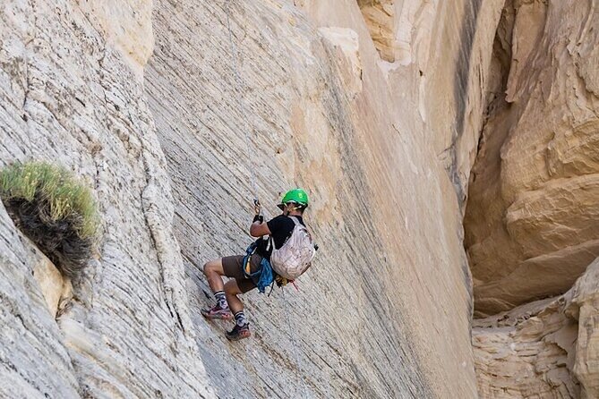 East Zion Elk Heart Cliffs Via Ferrata and Rappelling (3Hr) - Customer Reviews