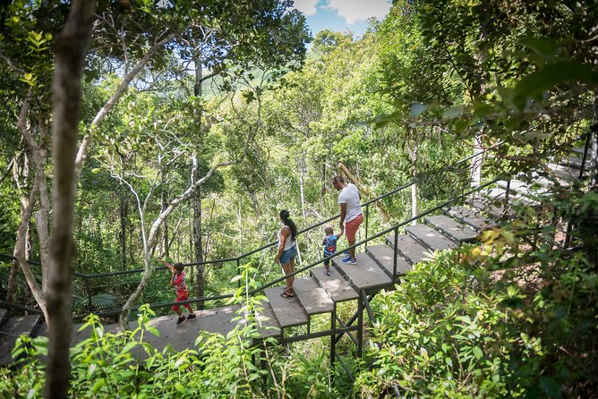 Ebony Forest Reserve Chamarel - Take a Hike Tour - What to Bring