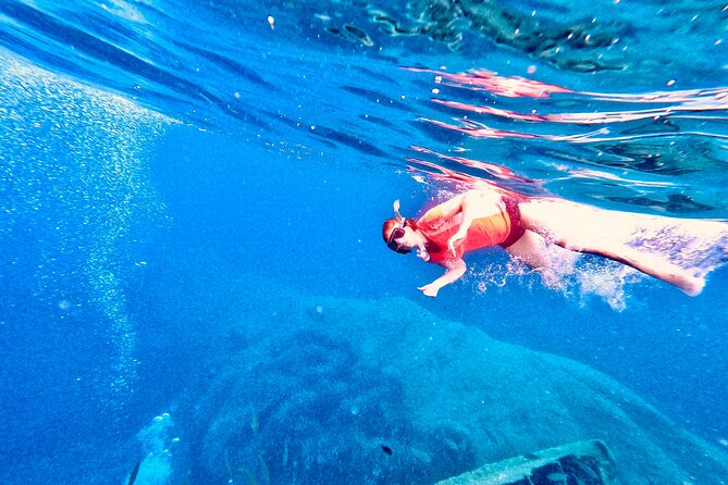 Elba Island Full Day Sea Kayak Tour - Traveler Feedback