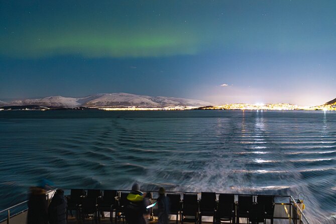 Electric Northern Lights Cruise - Traveler Experiences and Feedback