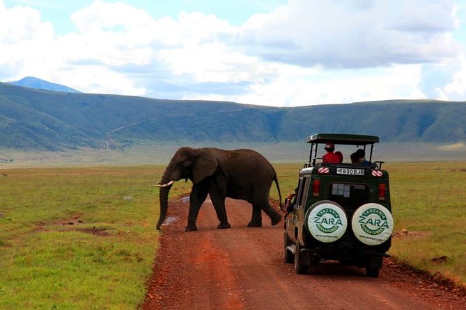 Elephant Special Serengeti & Ngorongoro Crater 5 Days / 4 Nights - Booking and Cancellation Policy