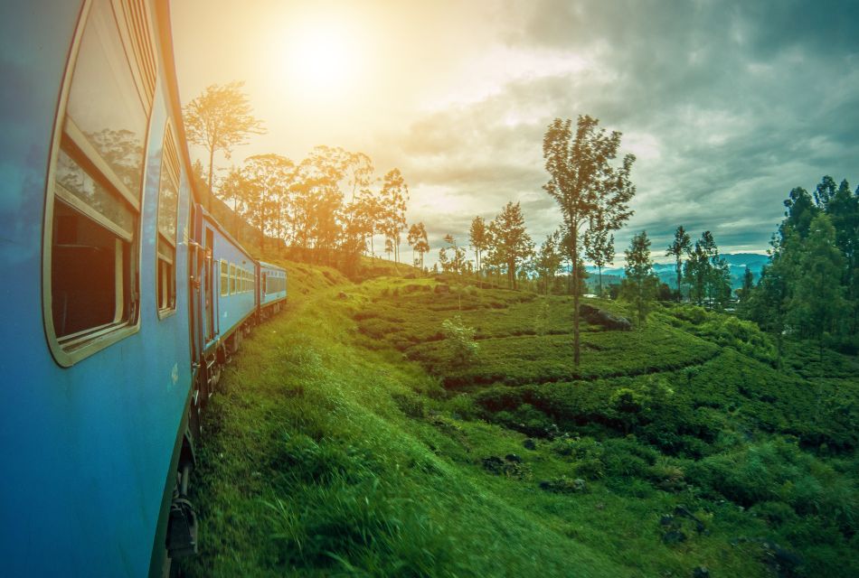 Ella Train Experience With Dip & Dine at Ravana Pool Club - Important Reminders