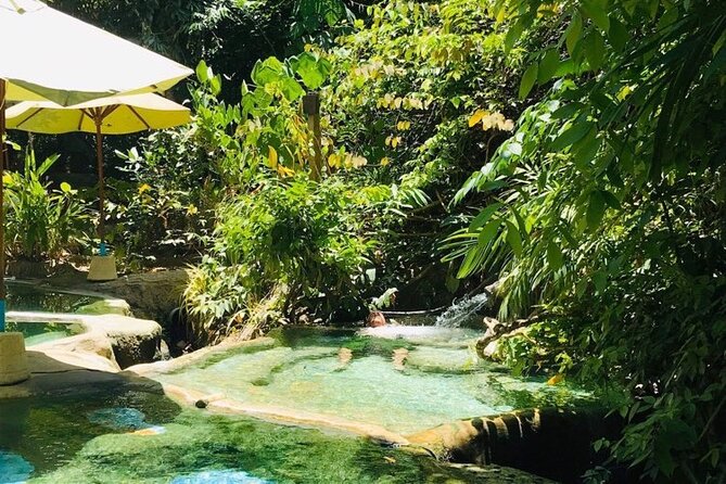 Emerald Pool: Jungle Tour, Private Full Day With Lunch - Booking and Cancellation Policy