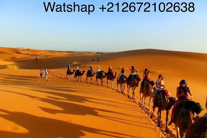 Enjoy1 Night Berber Camp Sahara Desert,Camel Sunset Sunrise Quad Sunboarding ATV - Reviews and Ratings
