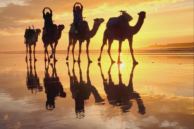 Essaouira 2-Hour Camel Adventure Ride - Tips for Your Camel Ride