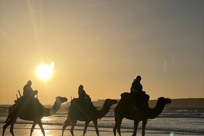 Essaouira Private Camel Ride (1 Hour). - Tips for Your Camel Ride