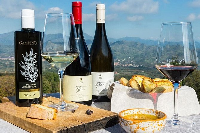Etna Panoramic Private Tour+Wine Taste&Food Combination(Amazing) - Wine Tasting and Light Lunch