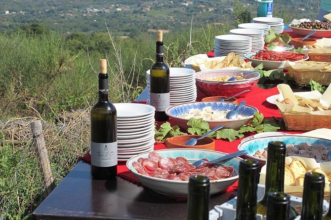 Etna Private Tour From Messina Cruise Terminal + Lunch at Winery - Winery Tour and Lunch