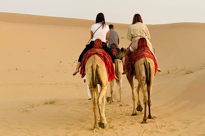 Evening Desert Safari Abu Dhabi With BBQ Dinner & Shows - Alcoholic Beverages Available