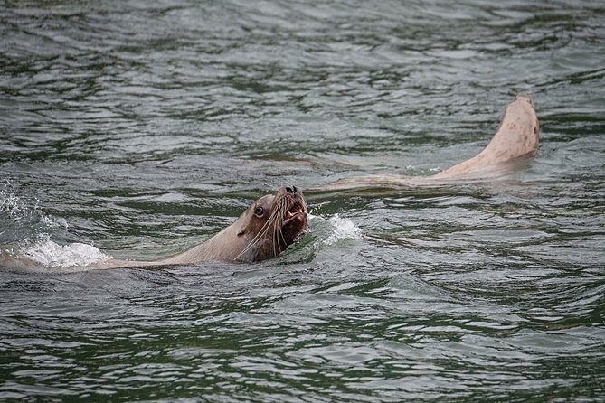 Exclusive Photography Tour to Haines - Skagway Departure - Participant Feedback
