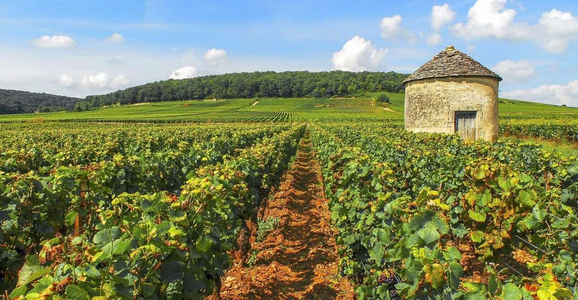 Excursion From PARIS to BEAUNE : the Vineyards of Burgundy - Key Points