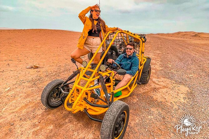 Excursion in Minibuggys in Paracas National Reserve - Customization and Flexibility