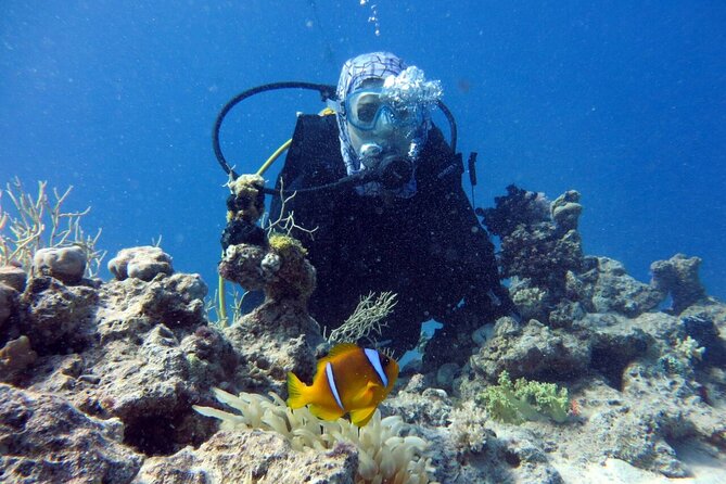 Excursion to Tiran Island by Boat - Accessibility and Convenience