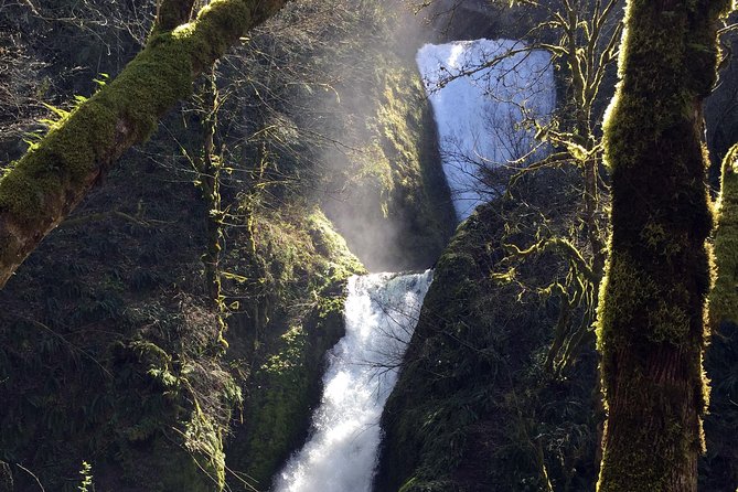 Explore Columbia River Gorge Half-Day Small-Group Tour - Accessibility Information